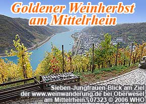 Ziel der gefhrten Weinwanderung am Sieben-Jungfrauen-Blick bei Oberwesel am Rhein